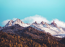 米乐m6体育-“菜鸟大师”成笑谈③：阿涅利不见棺材不落泪